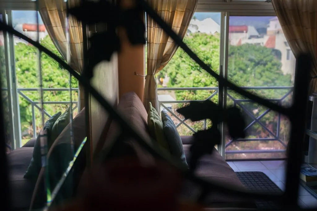 Cozy Accommodations Κίνγκστον